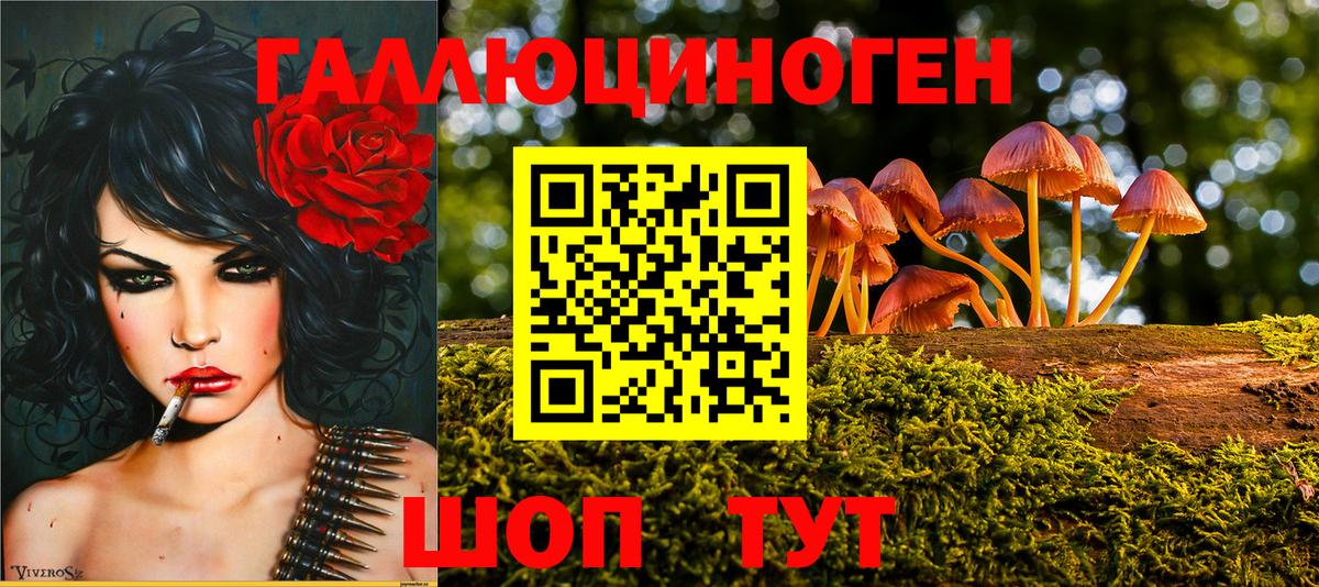 Лангепас  Галлюциногенные грибы Psilocybe  Вход с VPN 